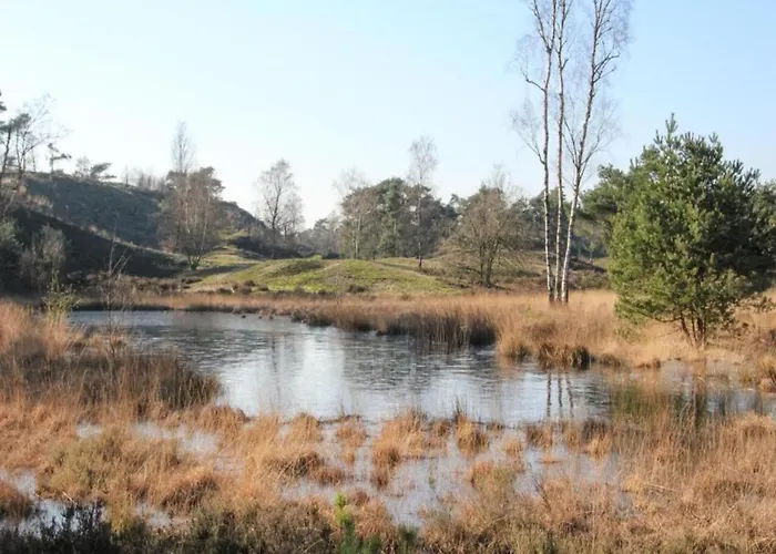 By Leukermeer Waterside Chalet Well (Limburg)